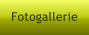 Fotogallerie