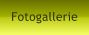 Fotogallerie